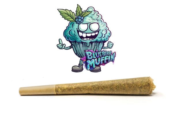 Blueberry Muffin (1g)
