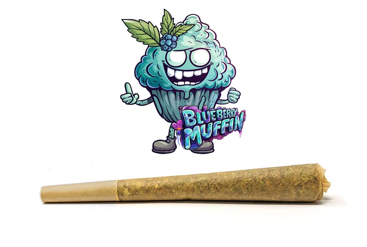 Super Cheese Cannabis Bud available at BudShop