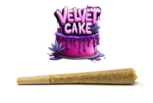 Velvet Cake (1g)