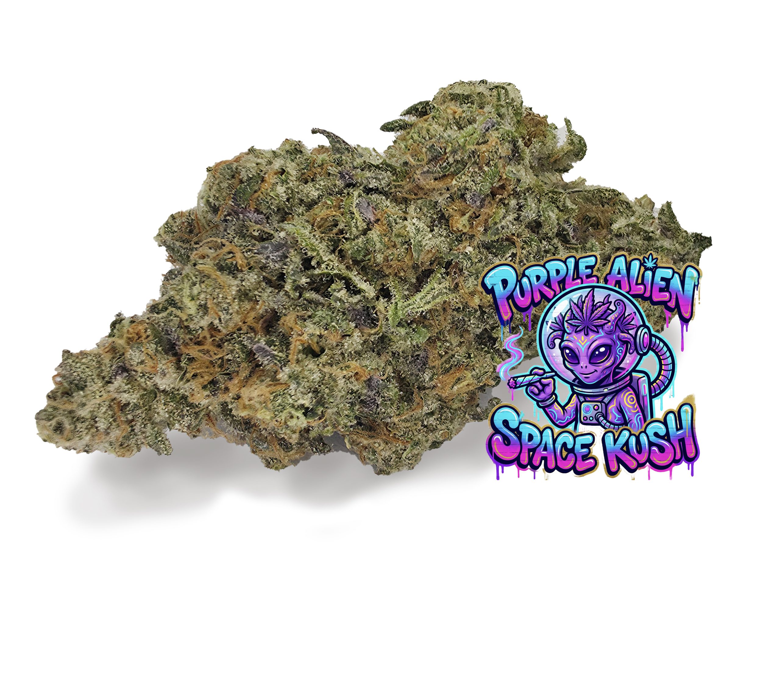 Super Cheese Cannabis Bud available at BudShop